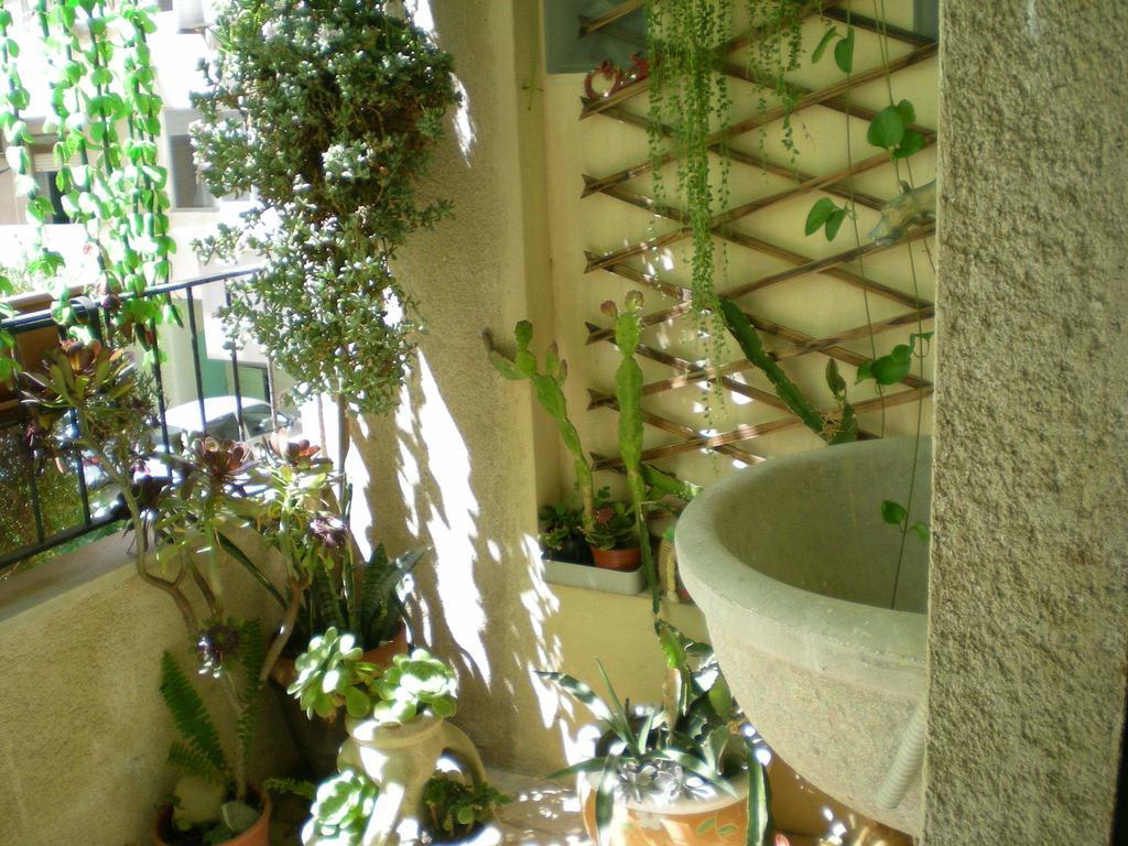奥里宗住宿加早餐旅馆 切法卢 客房 照片